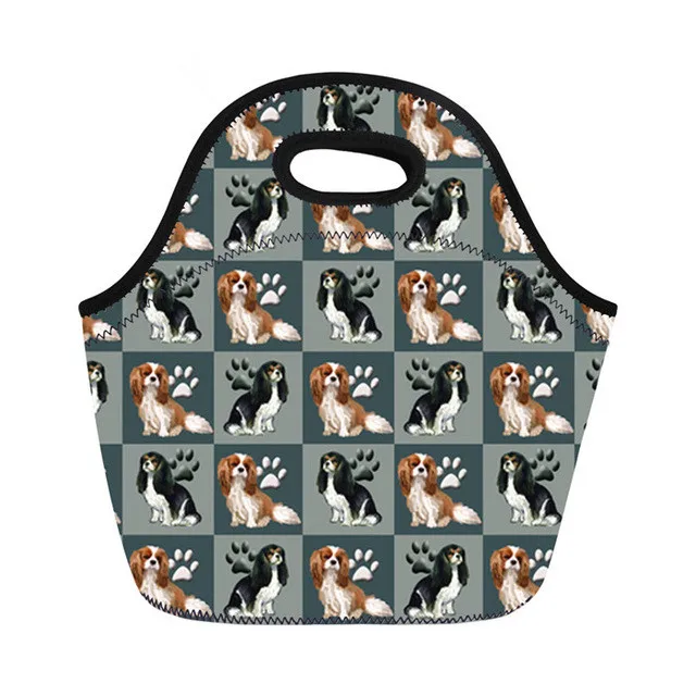Cavalier King Charles Spaniel Printing Lunch Bags for Women Kids Picnic Tote School Food Bag Bolsa T Lancheira