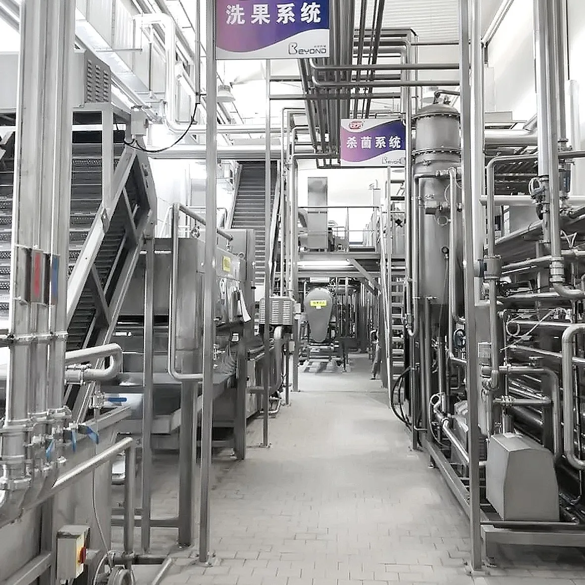 Stainless steel Dates Processing Machinery processing line