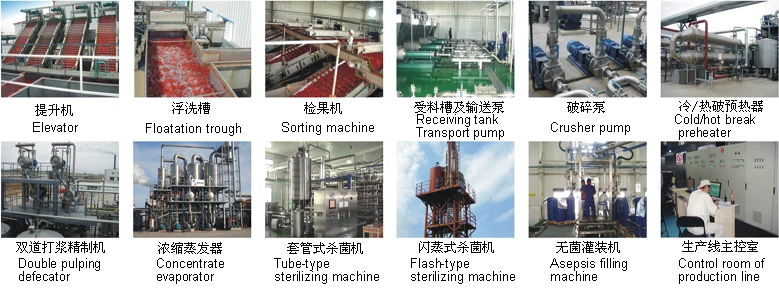 Turnkey project tomato pulp puree jam processing line from A to Z