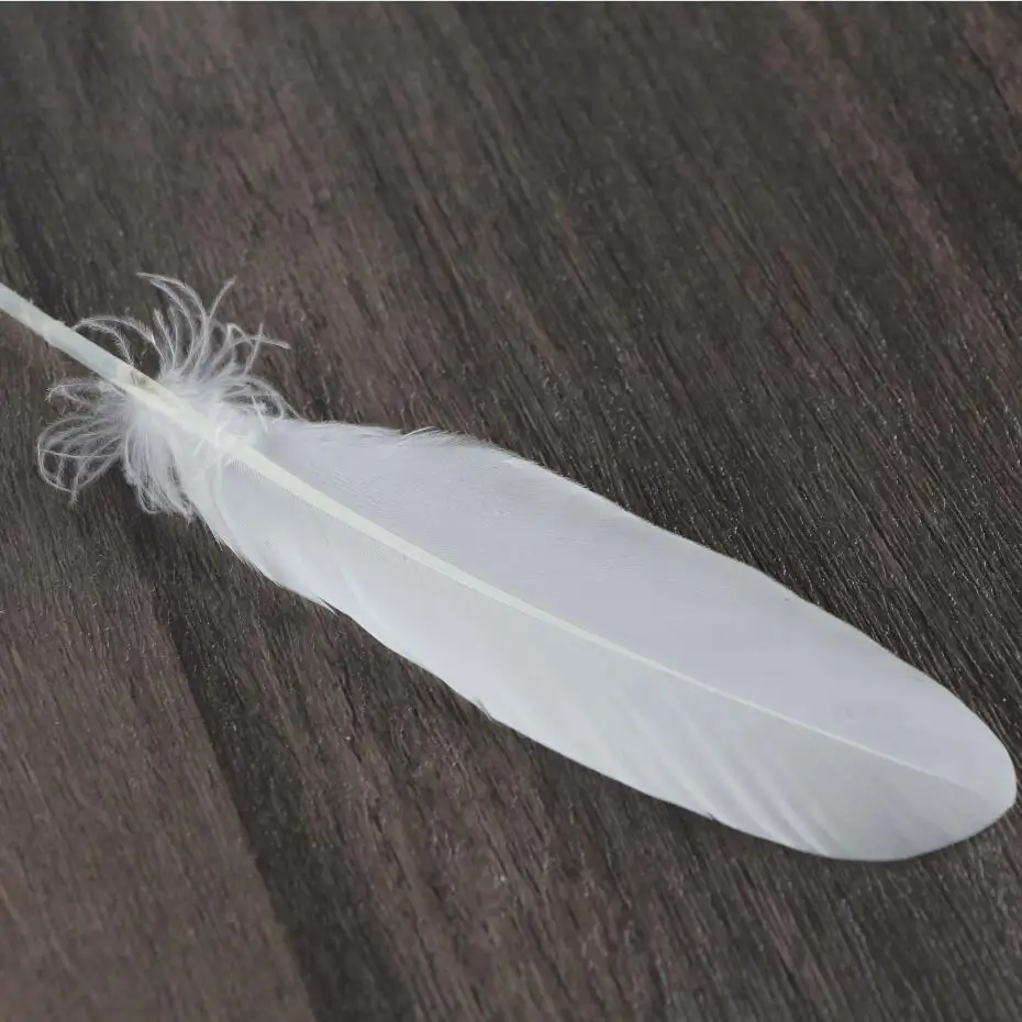 Bulk soft white duck feather China Feather Manufacturer Direct Sale Indonesia Curved Feathers