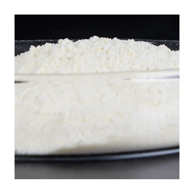 
OEM HACCP ISO22000 HALAL Certified Natural prebiotic probiotic probiotics powder lactobacillus helveticus 200Bcfu/g 