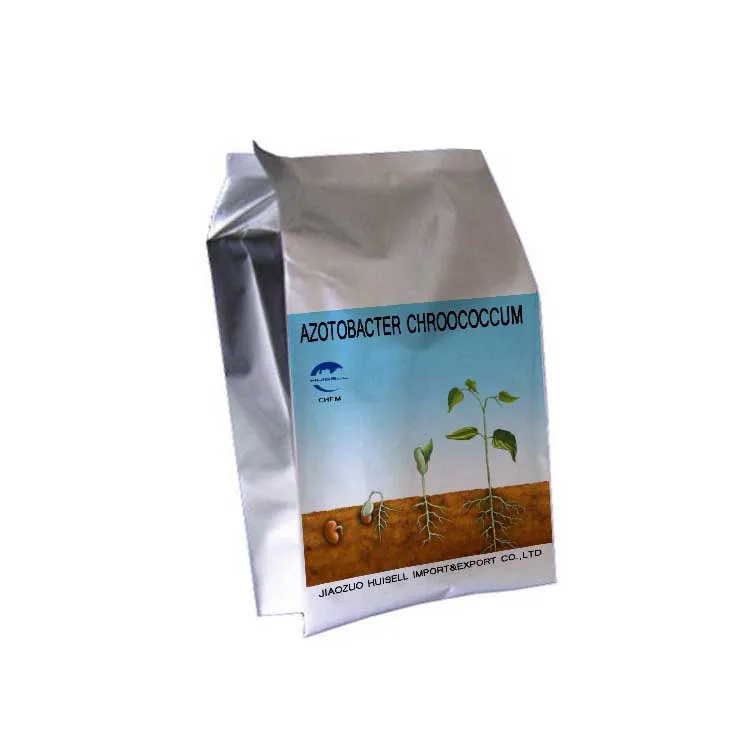 Powder fixed nitrogen bacteria biological fertilizer Azotobacter Chroococcum Spp