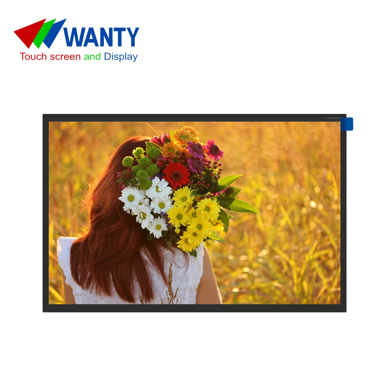 Промышленный наружный TFT ЖК-дисплей Wanty 10,1 дюймов HD 1280x800 LVDS IPS панель