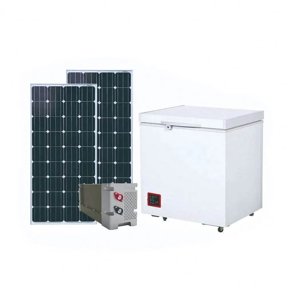 Single Double door 12V 24V Solar Panel energy Powered Freezer Refrigerator Fridge mini solar refrigerator