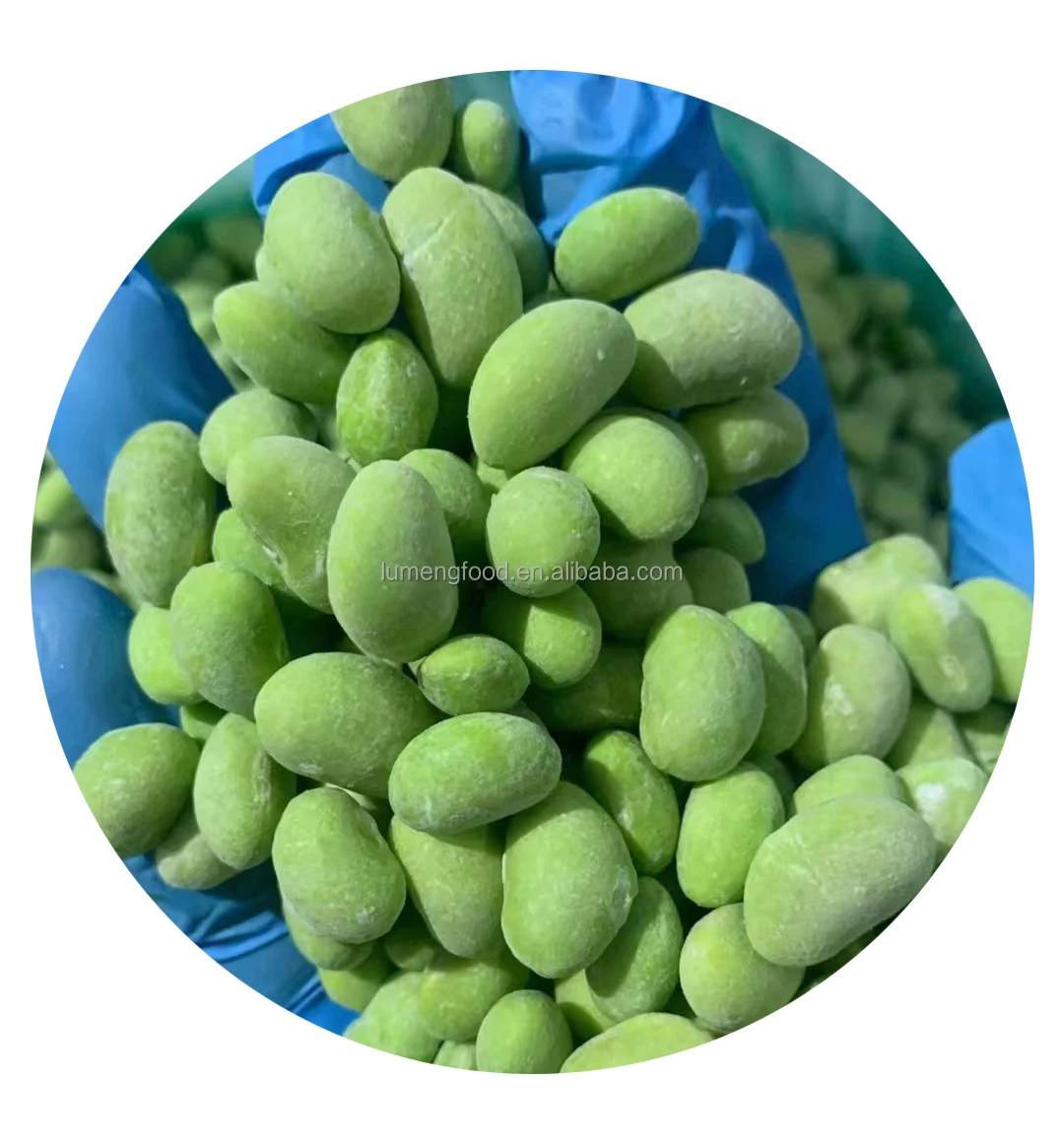 Certified Quality Professional Manufacture IQF Frozen Edamame Kernel/Soy Bean Quality Frozen Vegetables