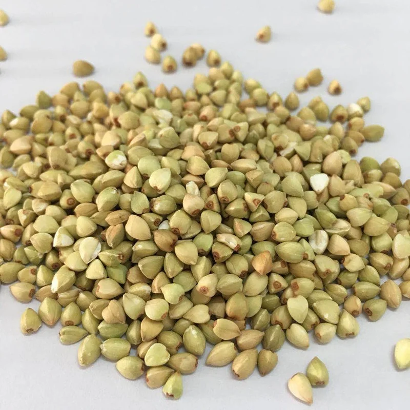 2021 new crop buckwheat seed nutrition buckwheat cheap price