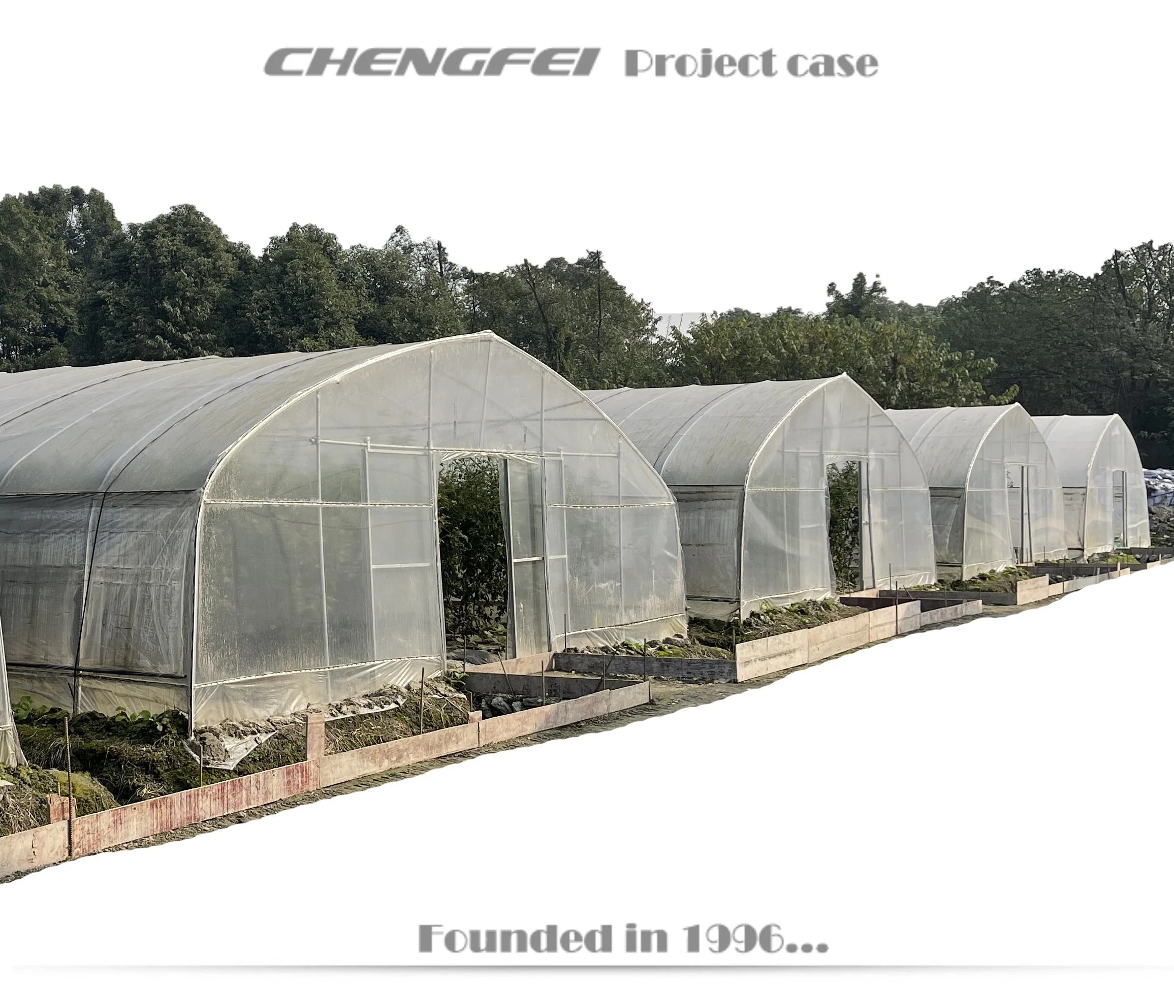 Single Span Tunnel commercial economical plastic film vegetable greenhouses supplier for sale