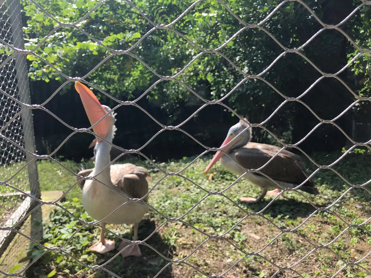 Cage House Sky Mesh Stainless Steel Rope Mesh Leopard Inox Cable Net Monkey Enclosure Inox Cable Net