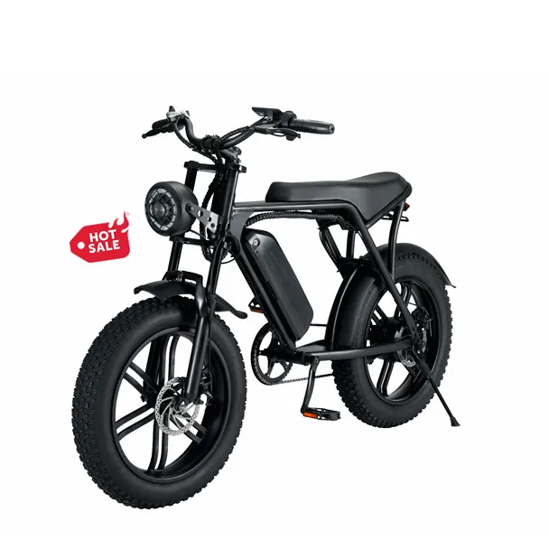 Eu Warehouse Hot enduro ebike urban dutch bicycle 48V 15Ah 30Ah 750w 1000W 20 inch fat tire electric bike for adults