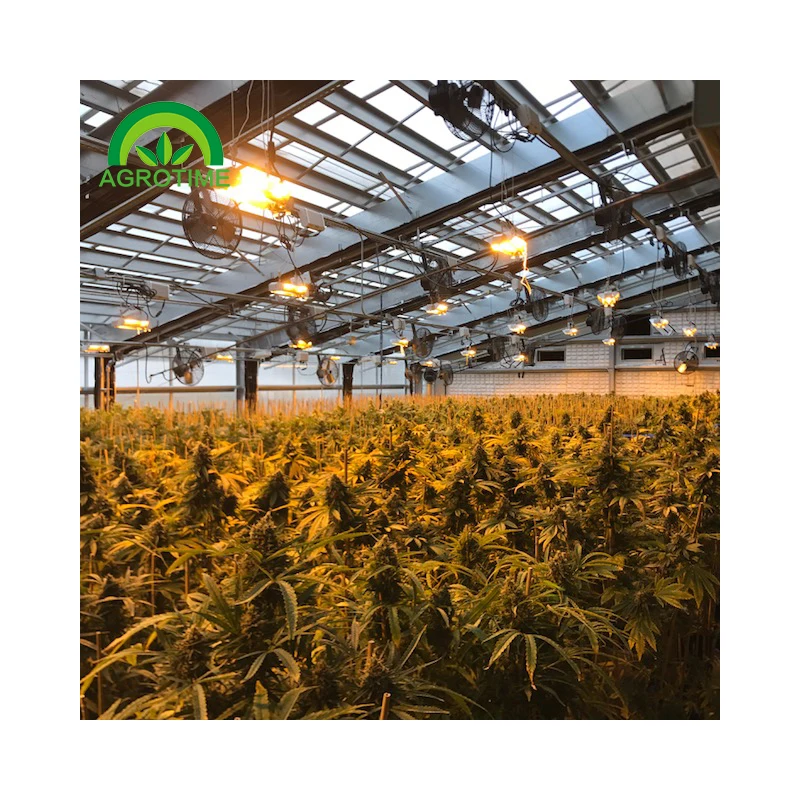 Agricultural light deprivation greenhouse for sale all black green house for medical planting