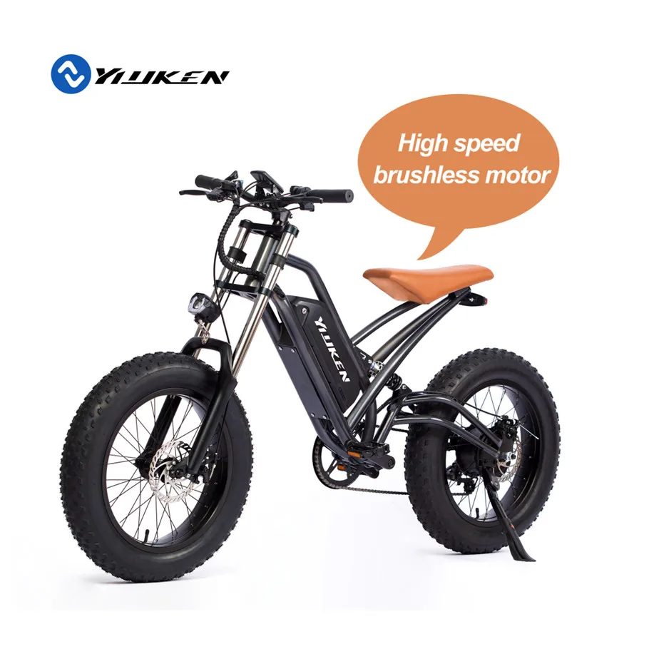 750w bike 20 inch retro bafang  electric  big tire  fat bike ebike frame