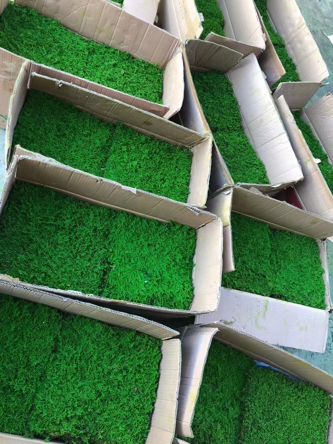 Green Moss Decorative Preserved Artificial Wall Custom-made