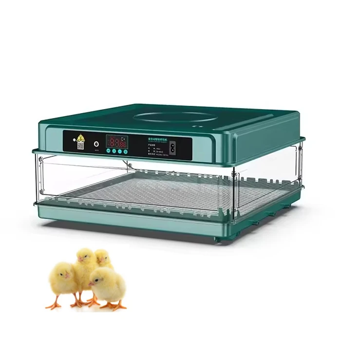 Low price Cheap Small Egg Incubator Chicken Duck Goose Bird Egg Incubators