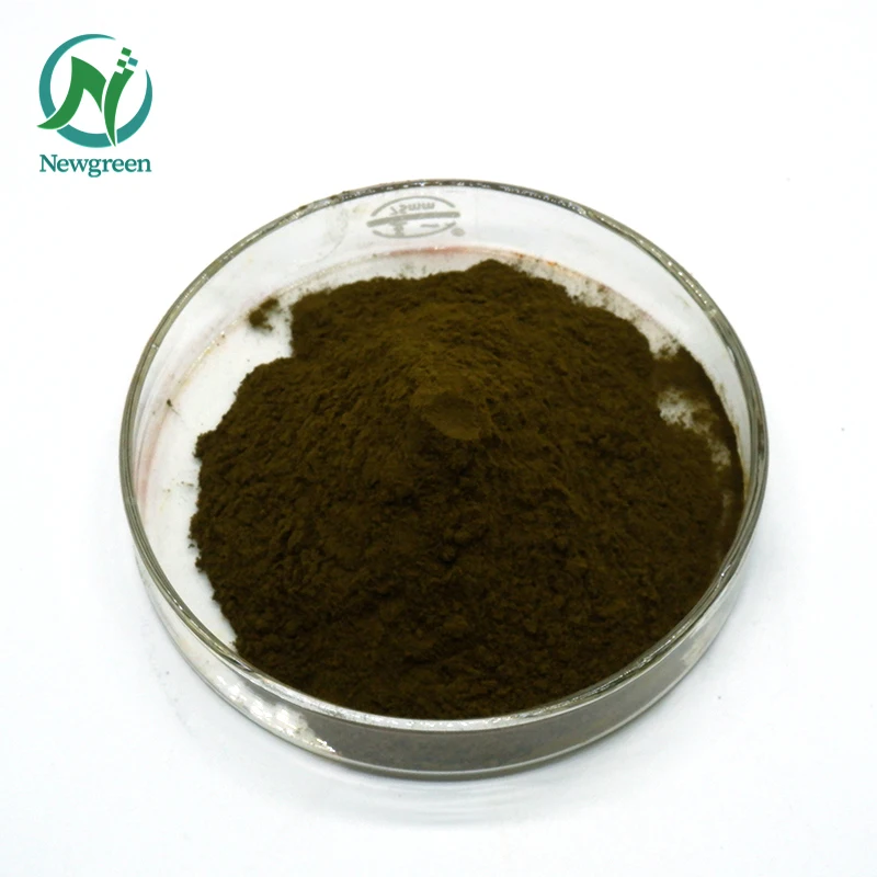 High Protein Organic Chlorella Powder 99% Chlorella