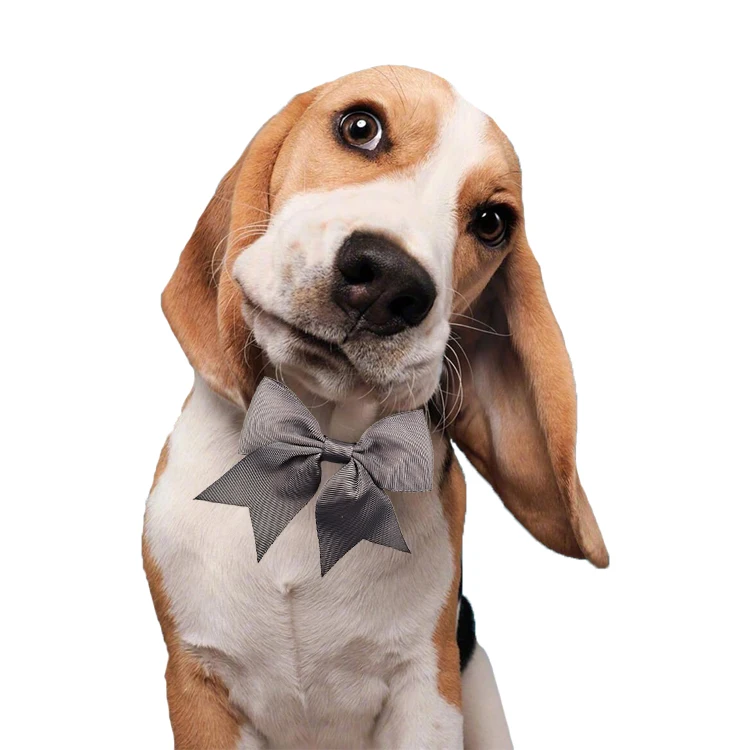 Pet Apparel and Accessories Bow Tie and Tie for Dog Collar Adorn Manufacture
