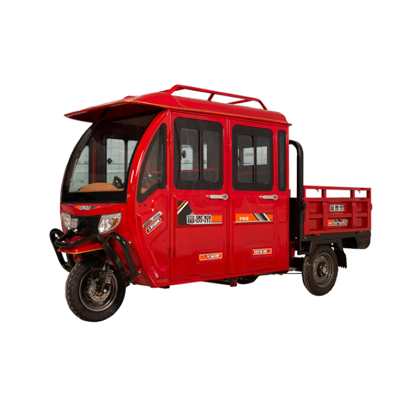 Hot Sell 2  Driver Cab and Hight Load Capacity Tricycle Enclosed Adult 3 Wheels E-rickshaw for Adult Electric Tricycle