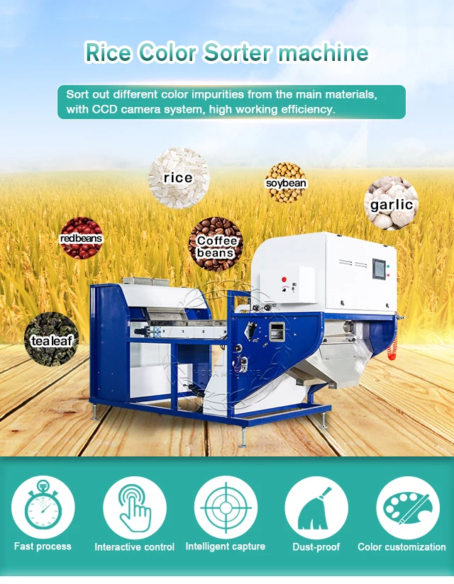 Low Price High Quality Oats Sorting Machinery Shelled Peanut Color Sorting Machine CCD Rice Separation Machine for sale