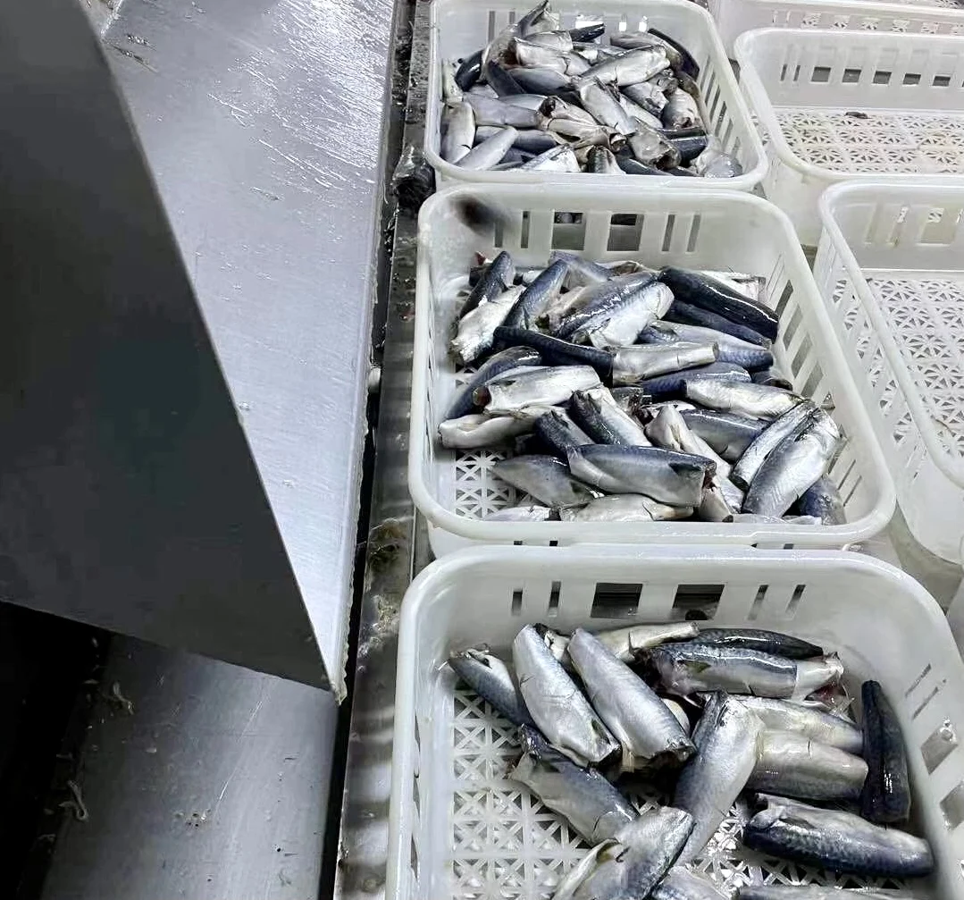 Natural dried salted fish export Africa