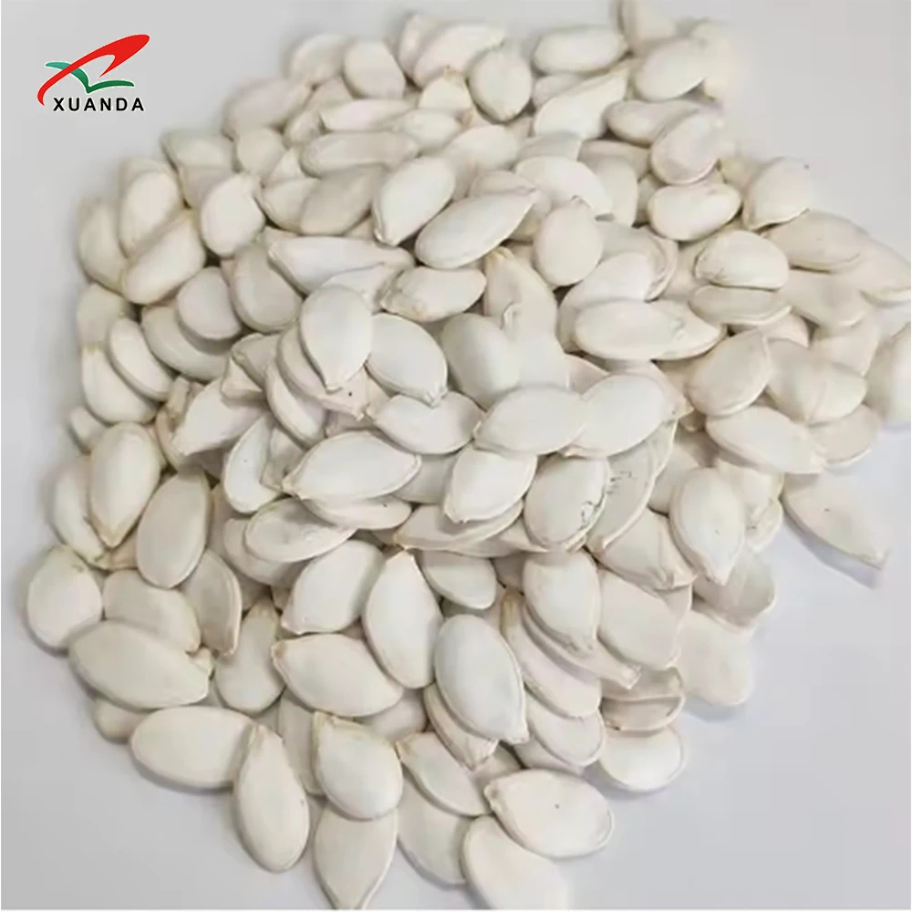 Factory Supply Raw Processing New Harvest Hybrid Snow White High Nutrition Snacks Pumpkin Seeds