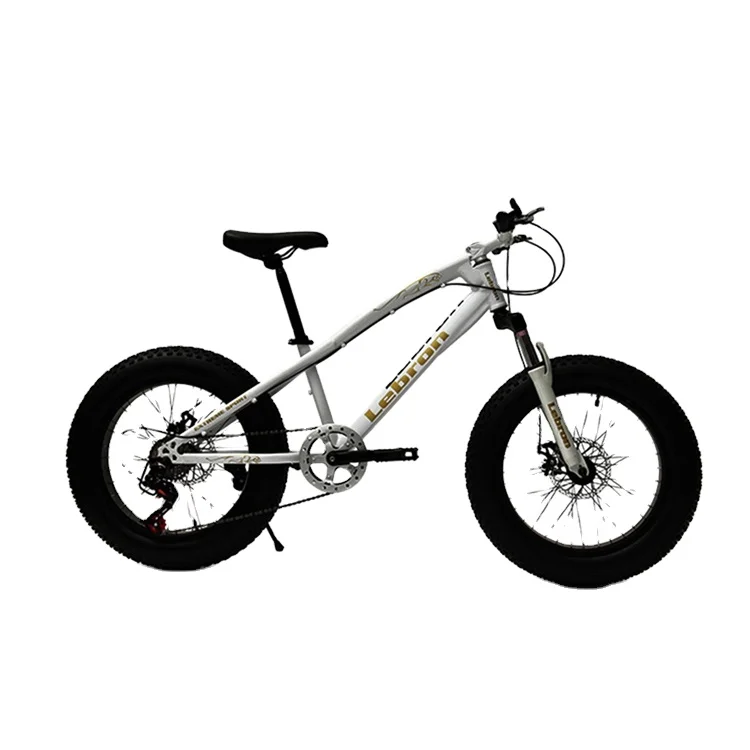 Wholesale 20 Inch Fat Tire Bike 24 Speed Beach Snow Bicycle Double Disk Brake Mountain Bikes