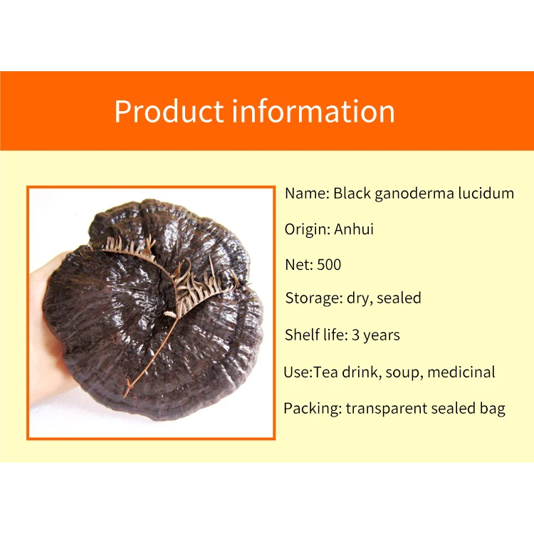 Оптовая продажа сушеные Ganoderma Lucidum поставщик/Органические
