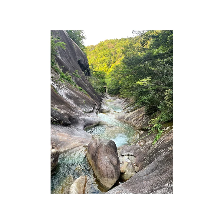 Custom alcoholic drink beverages to emphasize its authenticity deliciousness