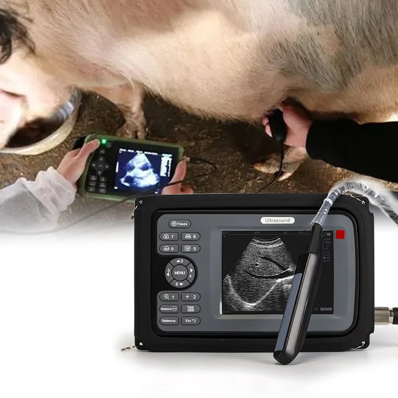 vet black and white ultrasound scanner Horses Cats Cows Ultrasound Scanning Handheld Veterinary Ultrasound Machine