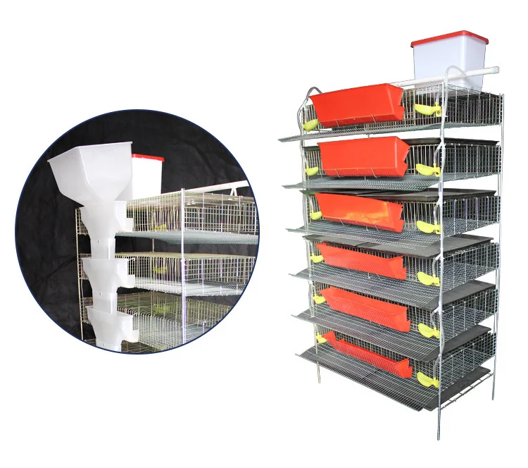 Cages of quails metal wire layer quail cage with automatic drinking system for sale
