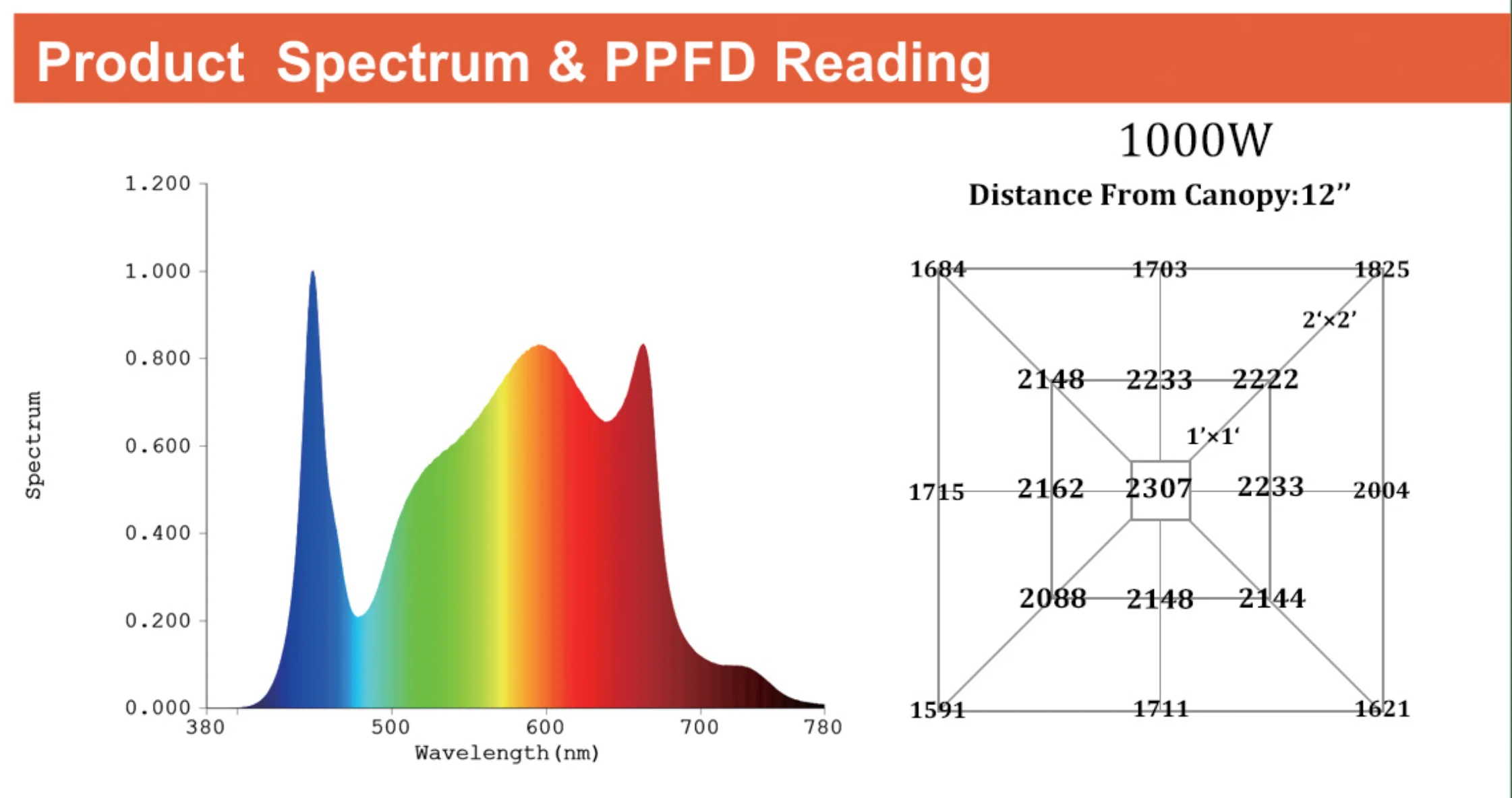 paste-pic-dp_uuid_napu0