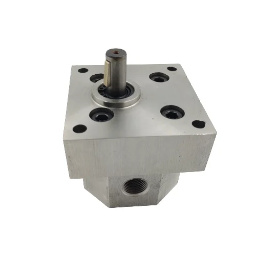 Factory direct stainless steel metering pump, stainless steel gear pump, custom hydraulic pump