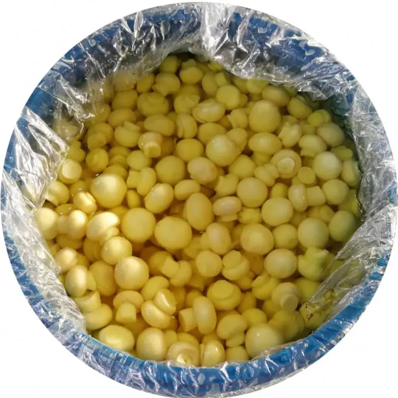 
PNS King oyster mushroom in drums 