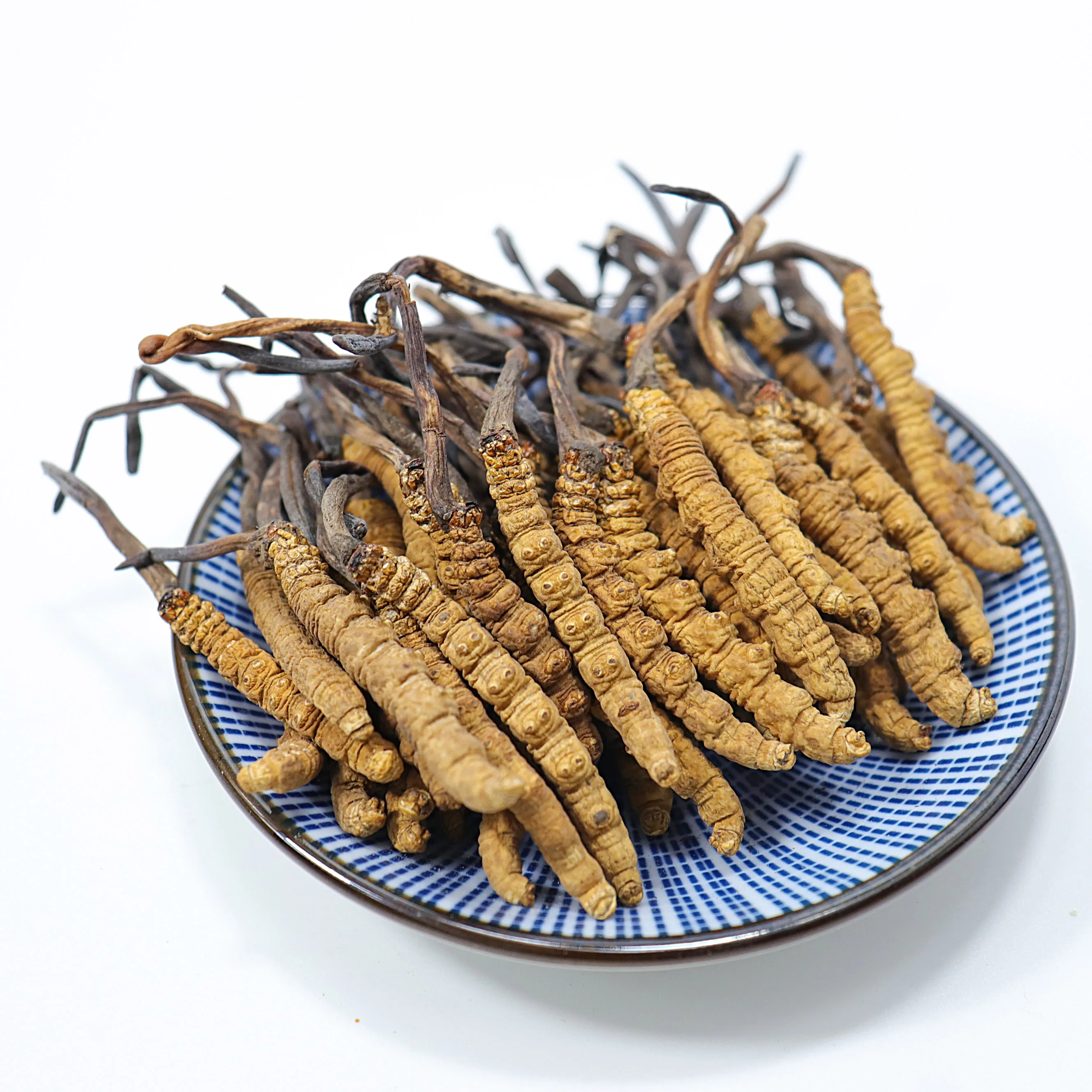 Dried Cordyceps High Quality Cordyceps Mushroom Wild Cordiceps Cordyceps Sinensis