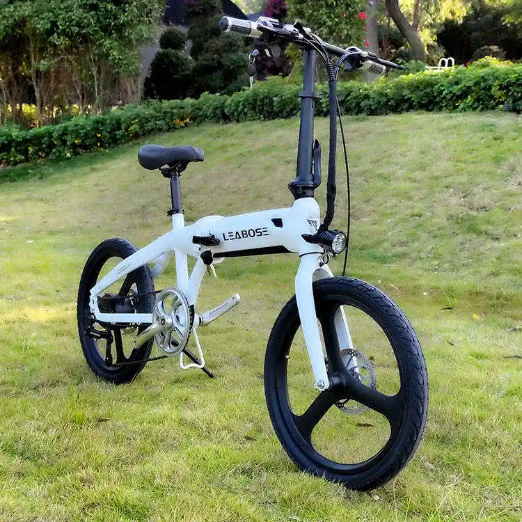 Exported Around The World Foldable Ebike Cargo Electric Fat Tire Bike City Ebike