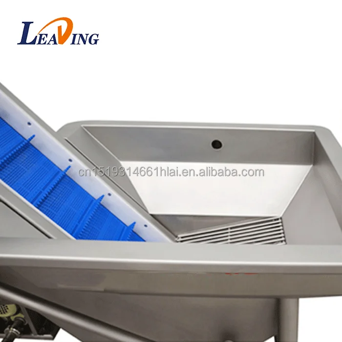 Automatic Ozone Banana Cleaner Equipment Fruit and Vegetable Washing Machine