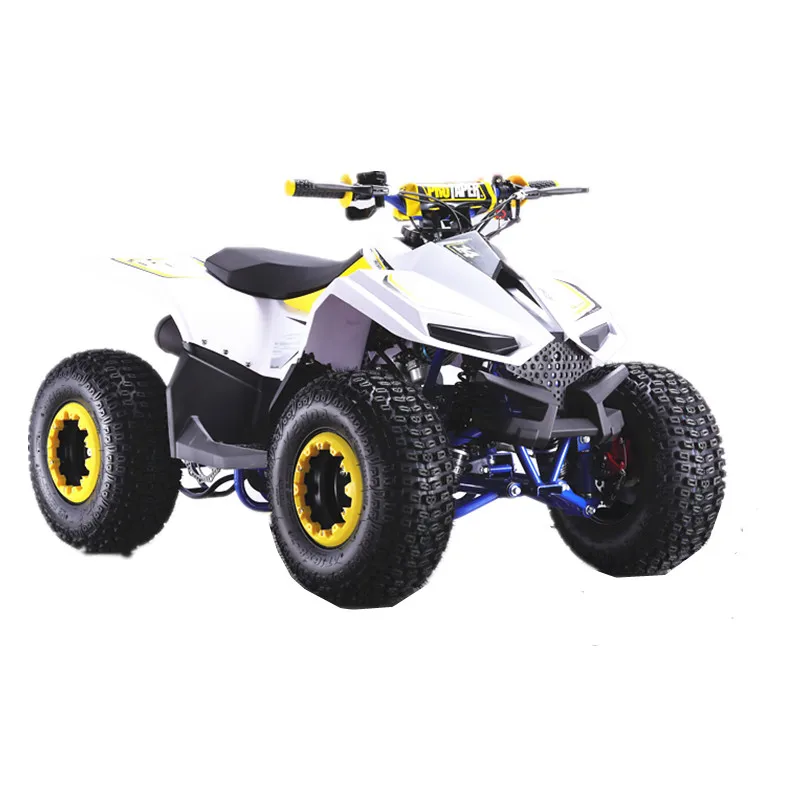 Foldable 2 Wheel Electric Scooter City Coco For Sale