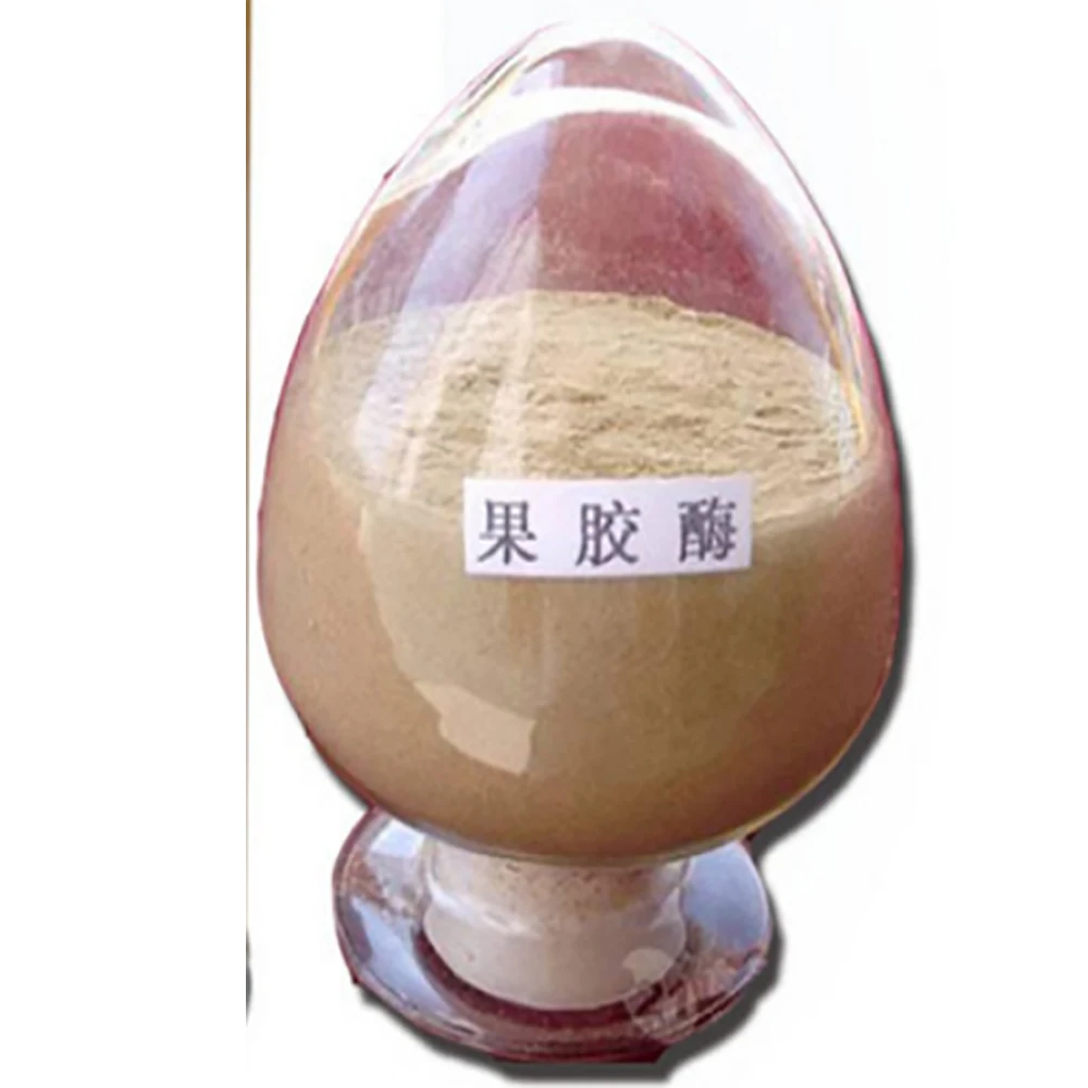 Wholesale Good quality products high quality food grade enzyme pectinase