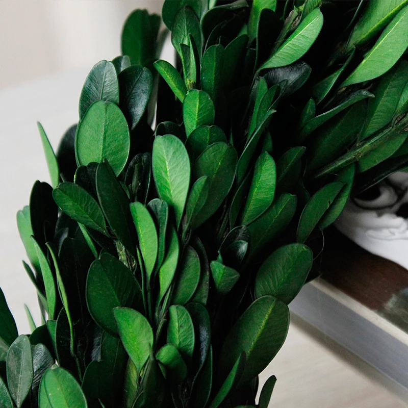 Amazon hot selling dried flower preserved green leaves garland christmas wreath for home decor