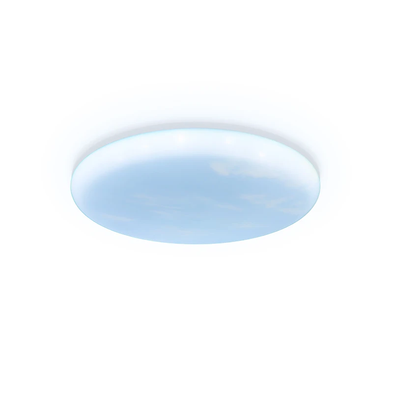 LED Circular Panel Light 48W Surface Mounted led ceiling light AC 220V led lamp for Home Decoration