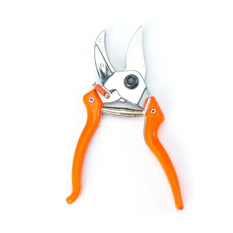 Bonsai Spring Gardening Grape Professional Flower Long Reach Tree Pruner Agricultural Pruning Shears