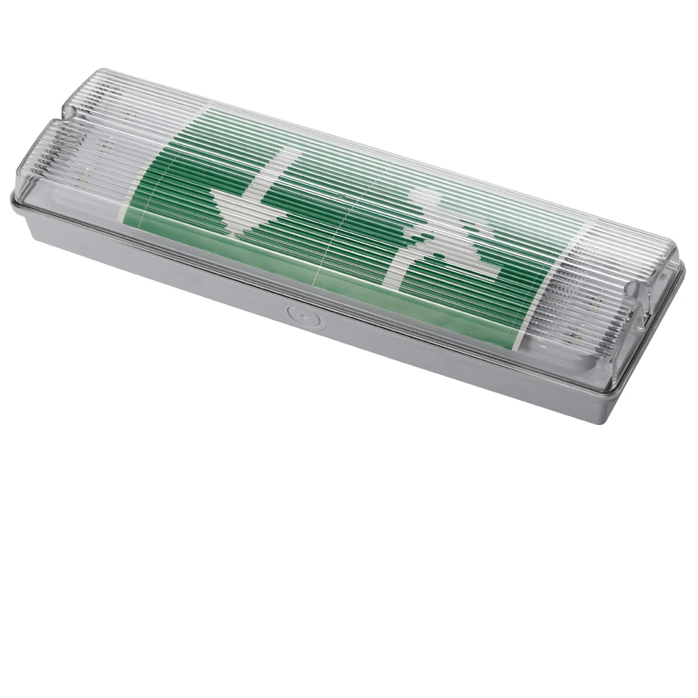 Rechargeable Small IP65 Plastic Waterproof Emergency Lamp Bulkhead Emergency Light