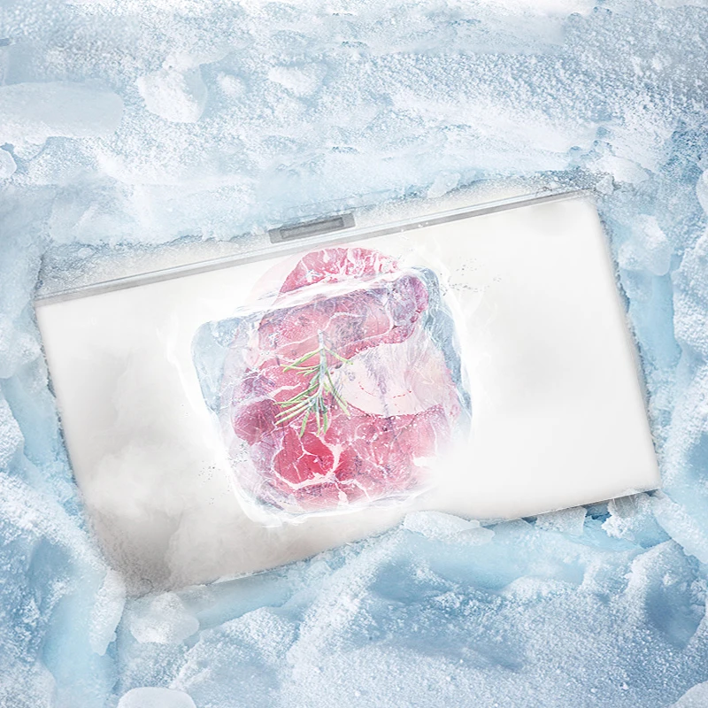 Mini Double-Temperature Household Food Chest Freezer