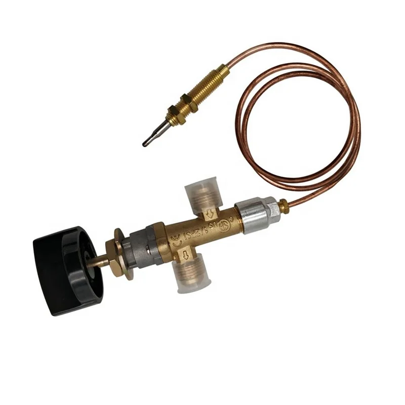 Sinopts Gas Valve Heater Of Gas Cooker Parts With Thermocouple And Knob