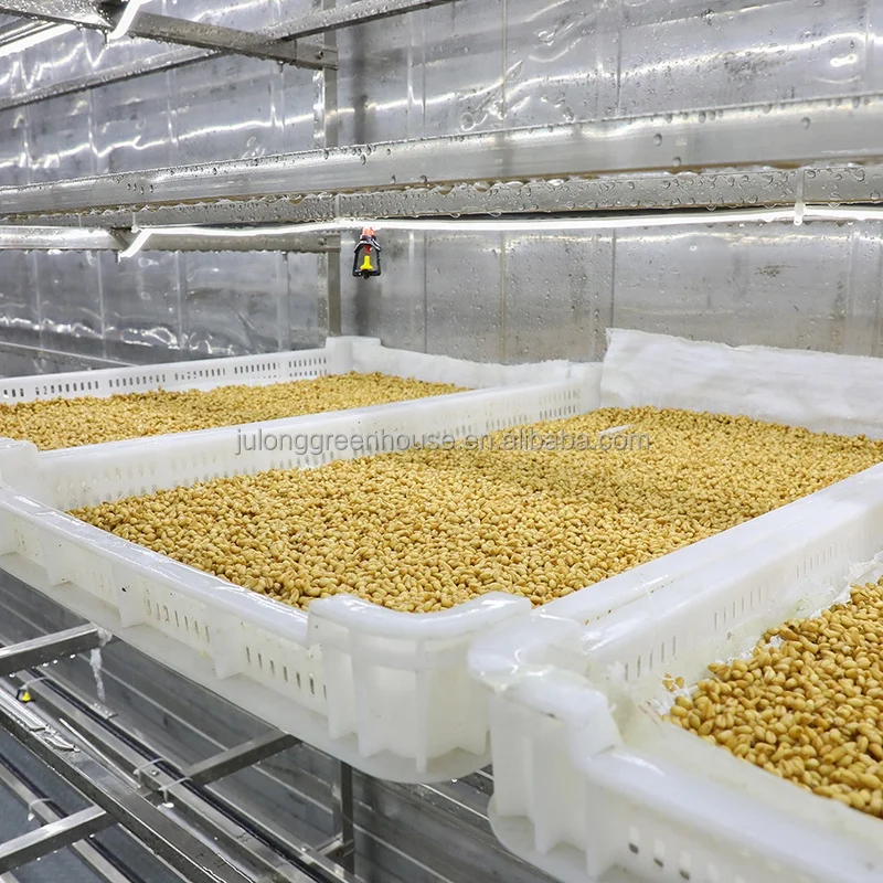 Fodder Container Farm Vertical Farming Container Greenhouse for Agriculture