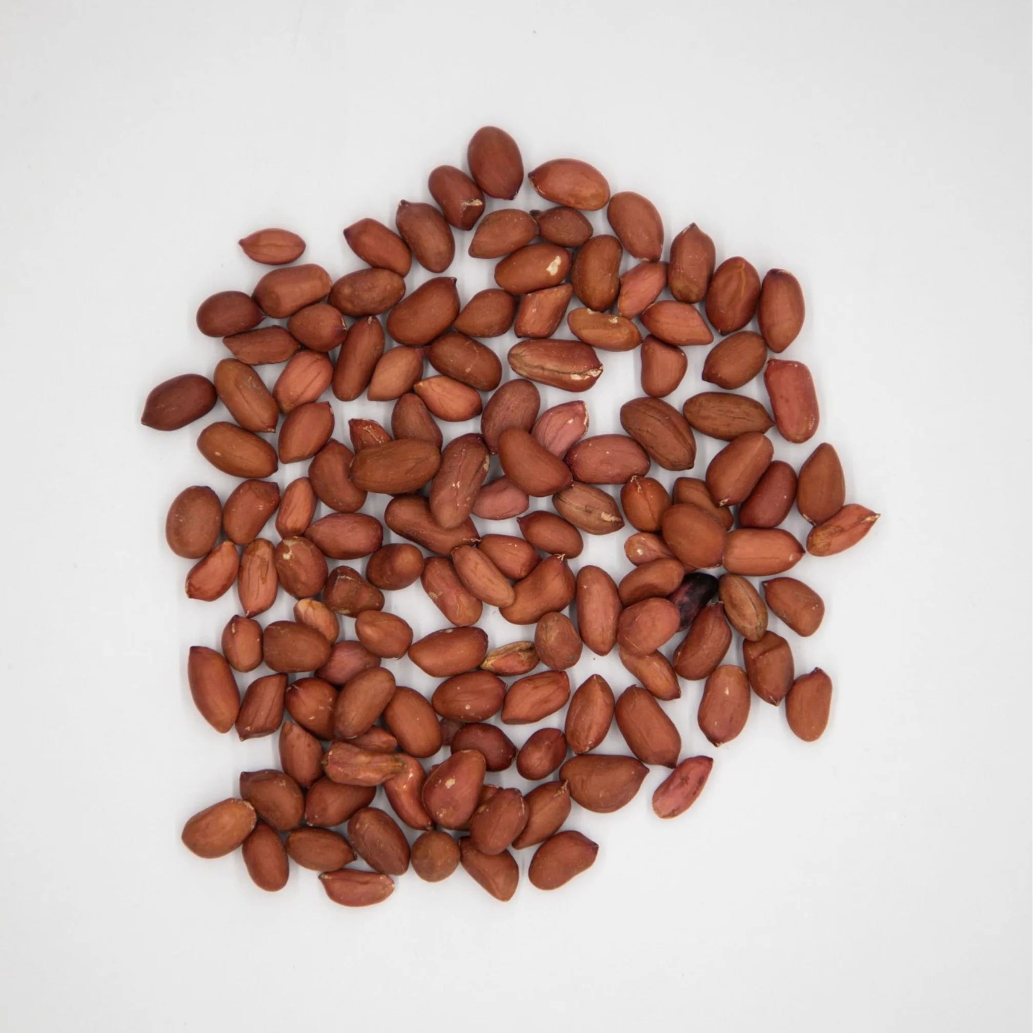 Healthy snack top grade organic peanut kernels peeled peanuts nuts in bulk from Uzbekistan manufacturer