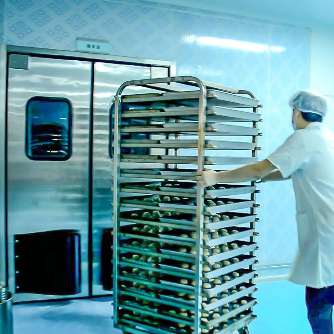 YOSLON Croissant Production Line,Continuous Bakery Electric For Food Production Line