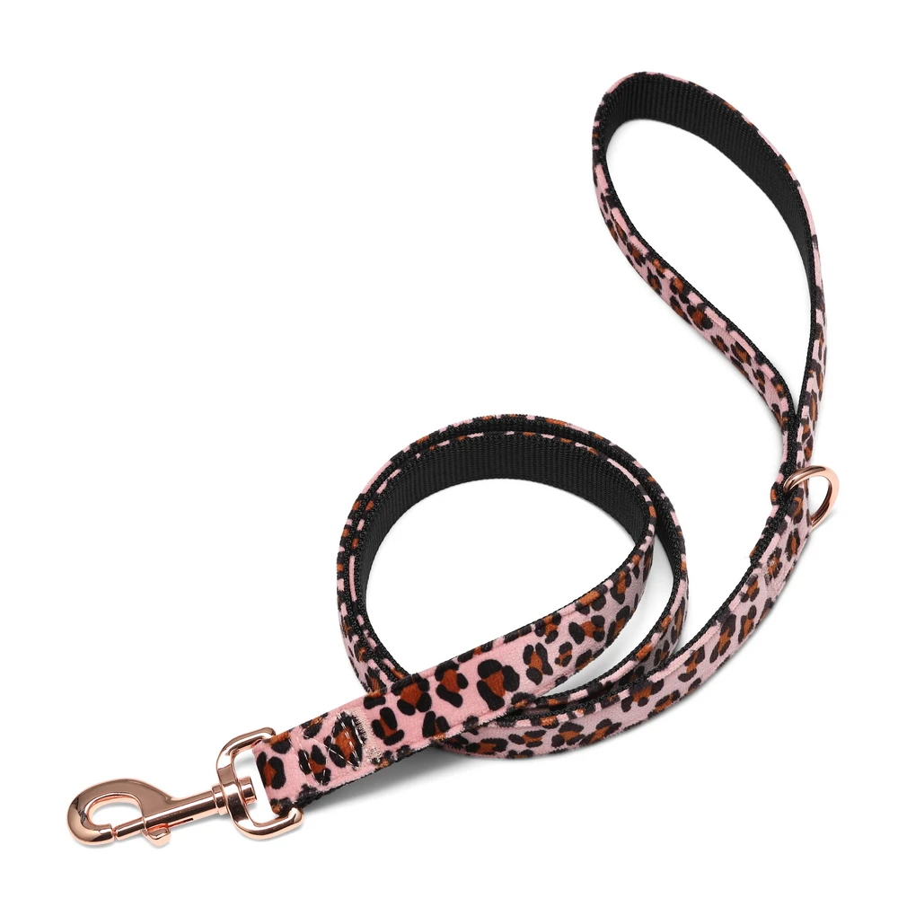 Vivaglory Doggies Life Vest, New Neoprene Sports Style Dog Life Vests for Swimming with Strong Grab Handle for Emergency Rescue