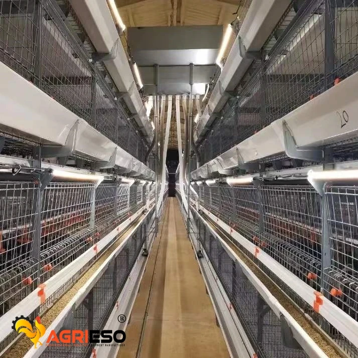 Agrieso Automatic Battery H Type 4 Tiers Bird-Harvesting Broiler Raising Cage for Chicken Poultry Farm/Farming Equipment