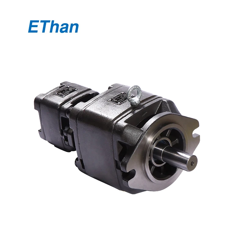 High Pressure Qx32 X32 Series IGP IGP10 Internal Gear Pump Inox For  Metal Bucher