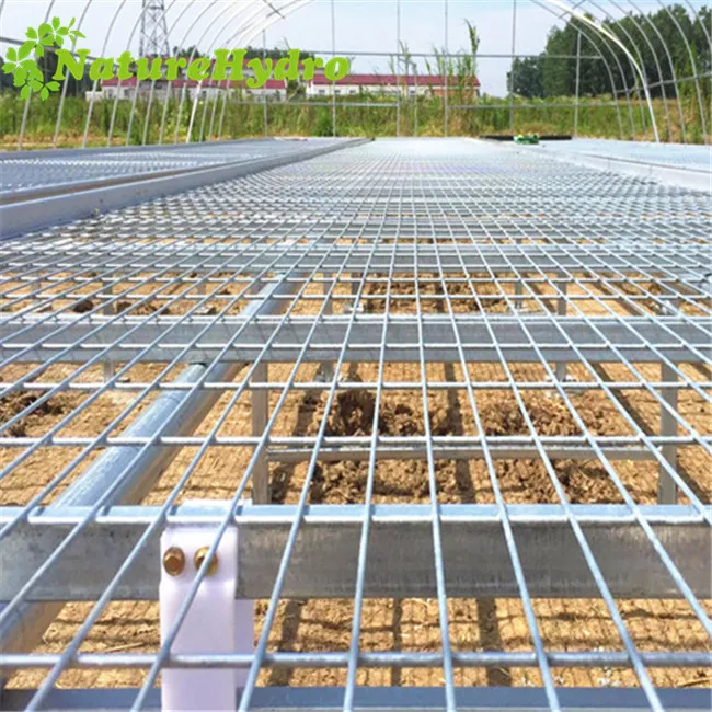 Welded Wire Mesh Steel Greenhouse Rolling Benches