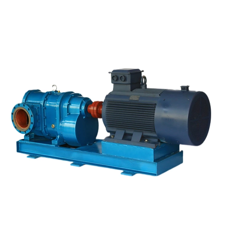 Boda Rotor Pumps Portable Lubricant Fluid Lpg Transfer Pump For Car